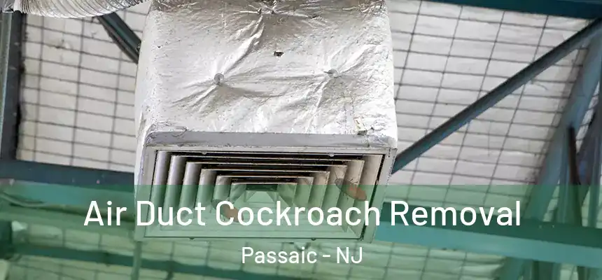 Air Duct Cockroach Removal Passaic - NJ