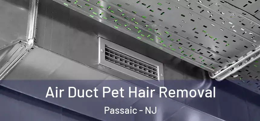 Air Duct Pet Hair Removal Passaic - NJ