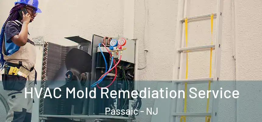 HVAC Mold Remediation Service Passaic - NJ