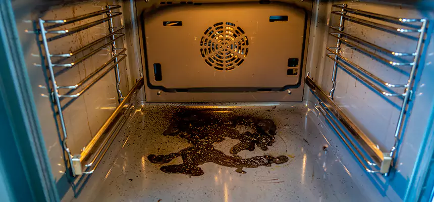 Our Dryer Vent Mold Cleaning Services in Passaic, NJ