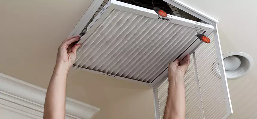 Our Insect Removal from Air Ducts Services in Passaic, NJ