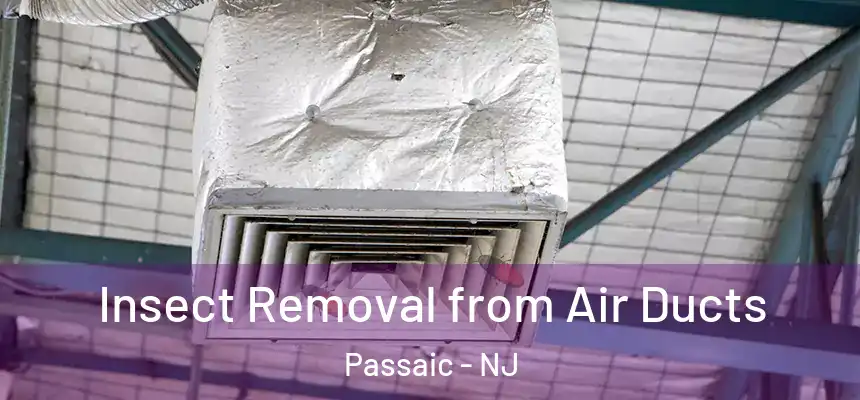 Insect Removal from Air Ducts Passaic - NJ