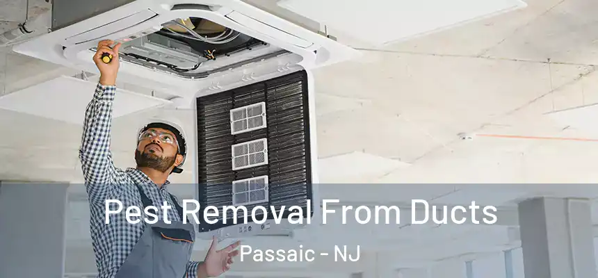 Pest Removal From Ducts Passaic - NJ