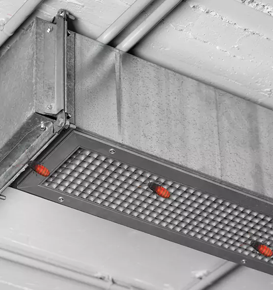 About Air Duct Cockroach Removal in Passaic, NJ