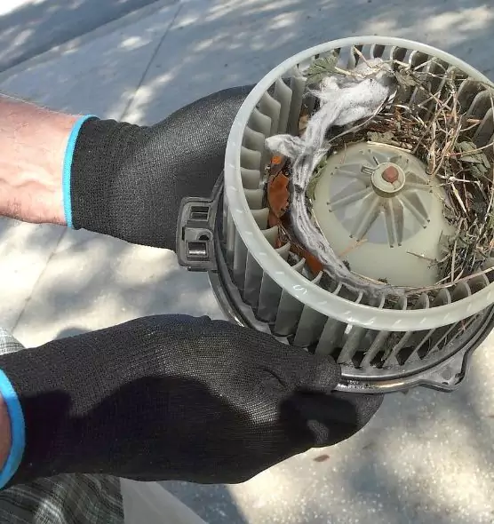 About Air Duct Mice Removal in Passaic, NJ