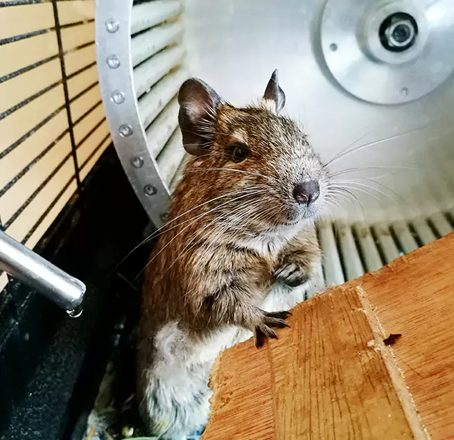 Why Homeowners & Businesses Trust Us Passaic, NJ?