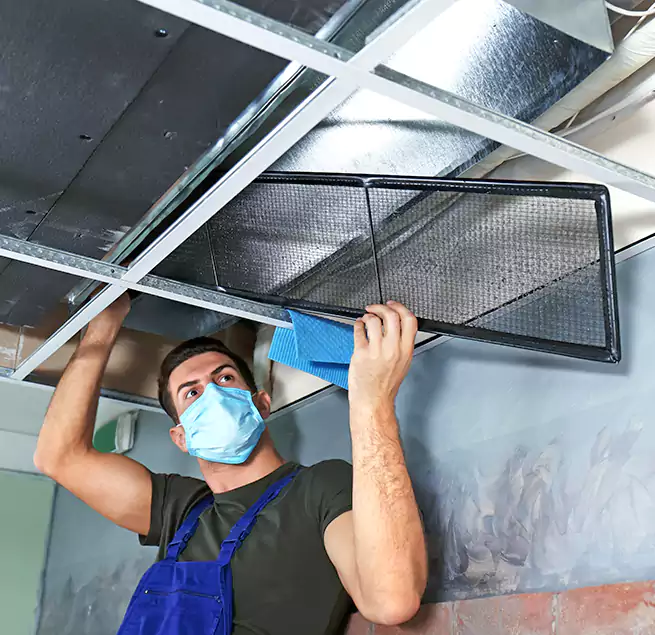 Why Homeowners Businesses Trust Us in Passaic, NJ