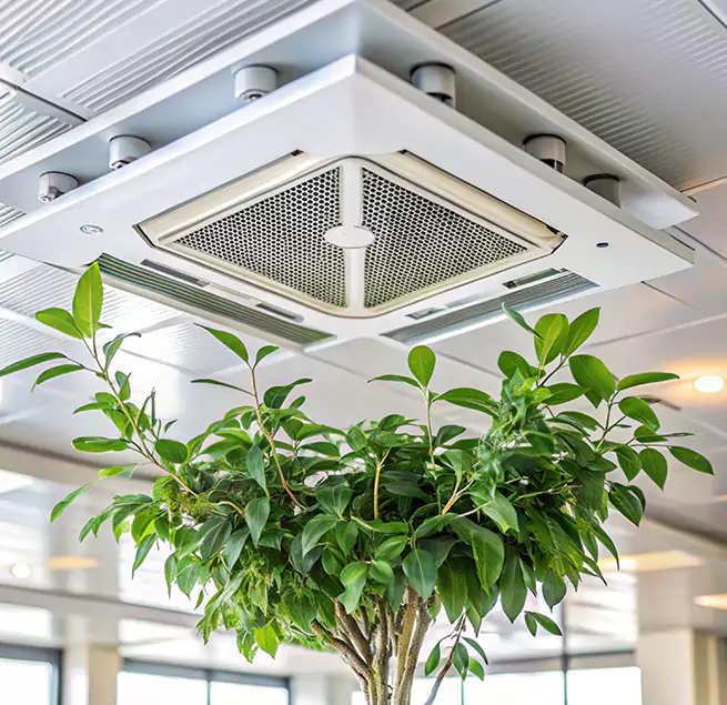 Why Homeowners & Businesses Trust Us in Passaic, NJ