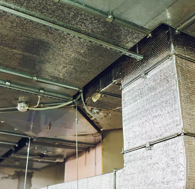 Why Homeowners & Businesses Trust Us in Passaic, NJ?